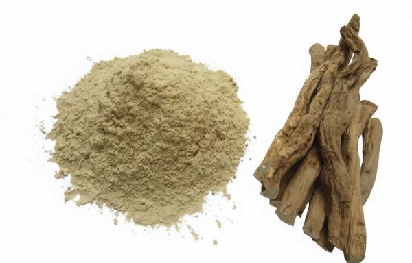 Astragalus root powder