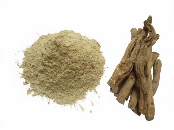 Astragalus root powder, finely ground from wild-harvested root
