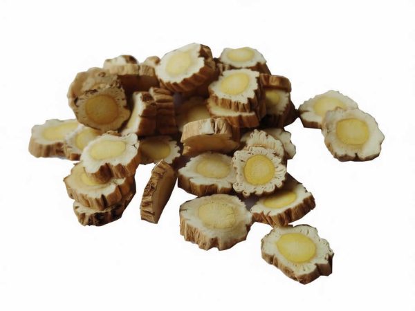 Astragalus root round slices from wild-harvested Mount Heng root
