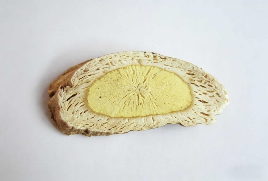 Astragalus root slices wild-harvested from Mount Heng China