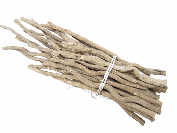 Whole wild astragalus root from Mount Heng China